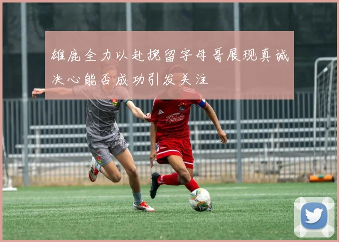 雄鹿全力以赴挽留字母哥展现真诚决心能否成功引发关注