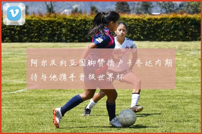 阿尔及利亚国脚赞扬卢卡齐达内期待与他携手晋级世界杯