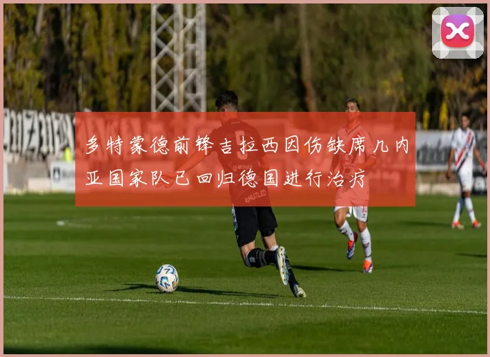 多特蒙德前锋吉拉西因伤缺席几内亚国家队已回归德国进行治疗