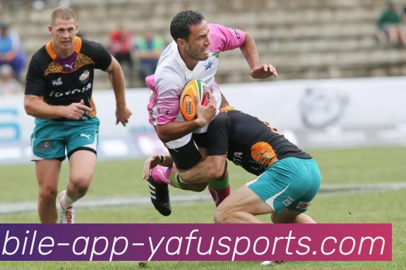 开云体育发展历程