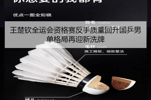 王楚钦全运会资格赛反手质量回升国乒男单格局再迎新洗牌(kaiyun)