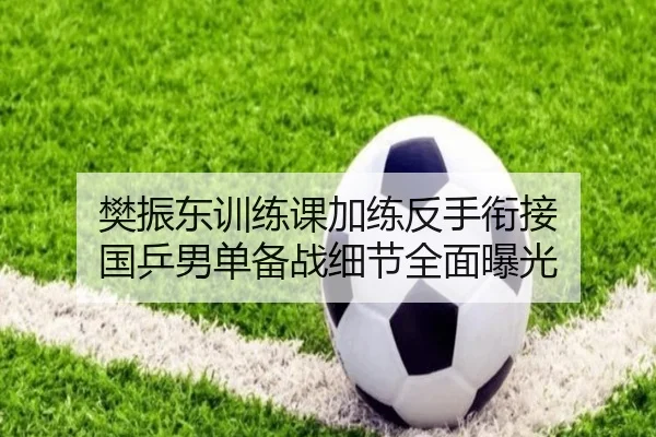 樊振东训练课加练反手衔接 国乒男单备战细节全面曝光 - kaiyun